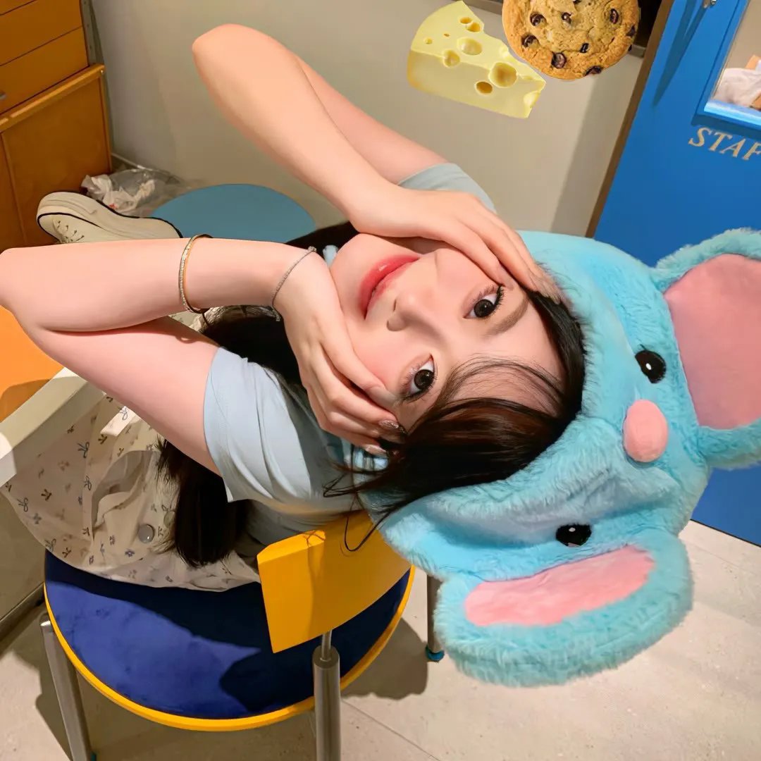 玫瑰计划